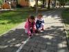 Vceli_prvni_tyden_61