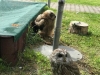 IMG-20210525-WA0032