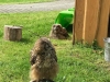 IMG-20210525-WA0033