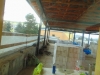 DSC03523