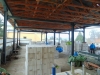 DSC03535