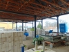 DSC03536