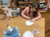IMG-20210127-WA0013