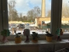 IMG-20210127-WA0021