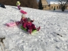 IMG-20210127-WA0032