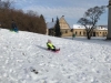 IMG-20210127-WA0035