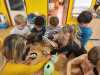 IMG-20250314-WA0042