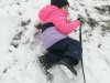 IMG_20250213_104206