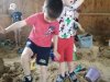 IMG_20250619_092740