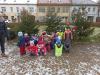 Stromecky_na_namesti_12