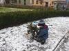 Stromecky_na_namesti_43