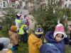 Stromecky_na_namesti_49