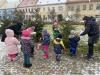 Stromecky_na_namesti_6