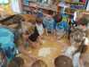 IMG-20250220-WA0019