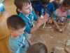 IMG-20250220-WA0035