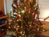 IMG-20201217-WA0085