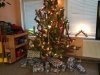 IMG-20201217-WA0088