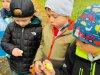 fotografie-2026-10-15T131204.753