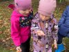 fotografie-2026-10-15T131310.718