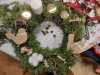 IMG-20251126-WA0023