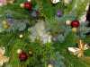 IMG-20251126-WA0044