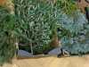 IMG-20251126-WA0050