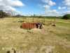 IMG-20220622-WA0021