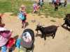 IMG-20220622-WA0064