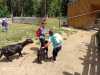 IMG-20220622-WA0066