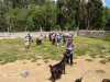 IMG-20220622-WA0067