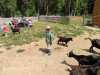 IMG-20220622-WA0068