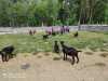 IMG-20220622-WA0070