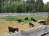IMG-20220622-WA0077