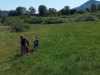 IMG-20240514-WA0005