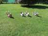 IMG-20240514-WA0027