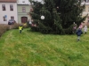 IMG_20201207_102444