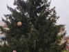 IMG_20201207_102558