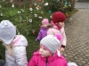 IMG_20201207_105736