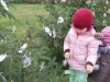 IMG_20201207_110154
