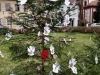 IMG_20201207_110627