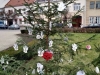 IMG_20201207_110635
