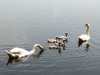 IMG-20250618-WA0007