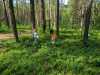 IMG-20250618-WA0027