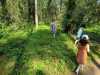 IMG-20250618-WA0028