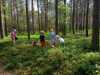 IMG-20250618-WA0029