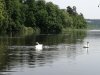 IMG_20250618_110501