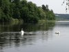 IMG_20250618_110502