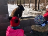 IMG-20210302-WA0007