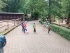 fotografie-2025-06-16T121907.711