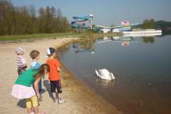 Berušky u Máchova jezera - 26. 4. 2013